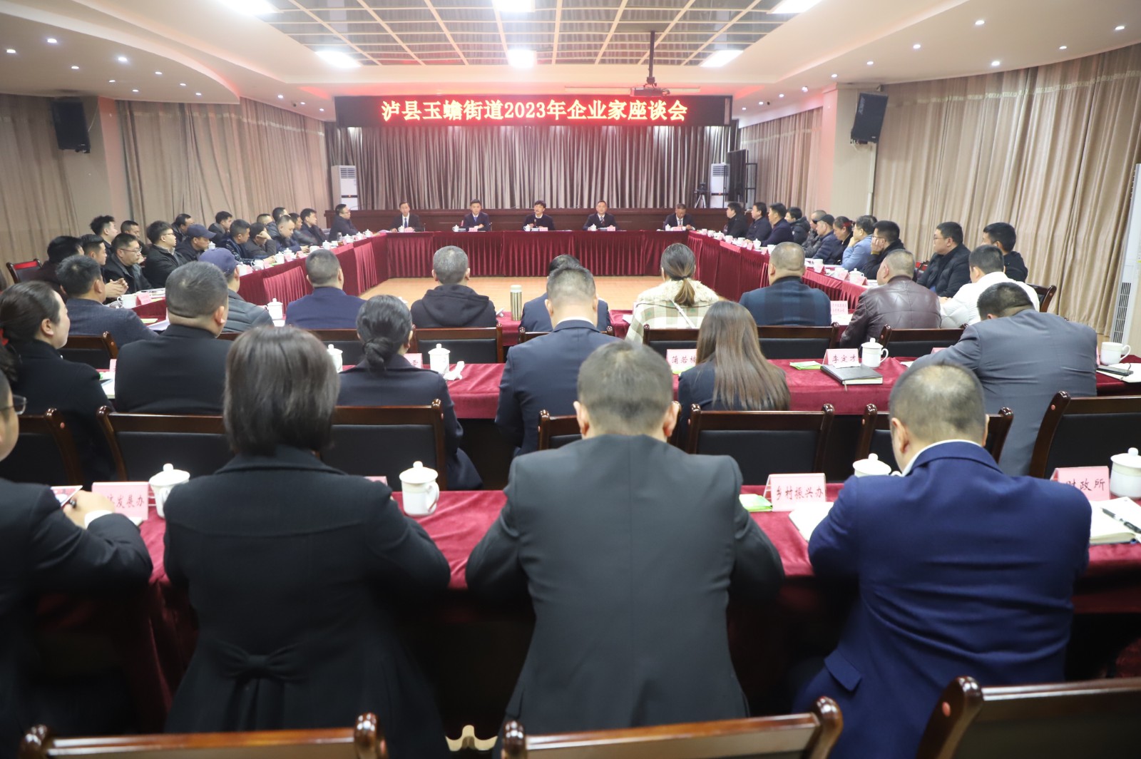 共叙家乡情，共谋新发展：玉蟾街道召开“美丽龙城 幸福玉蟾”企业家座谈会（全景）.JPG